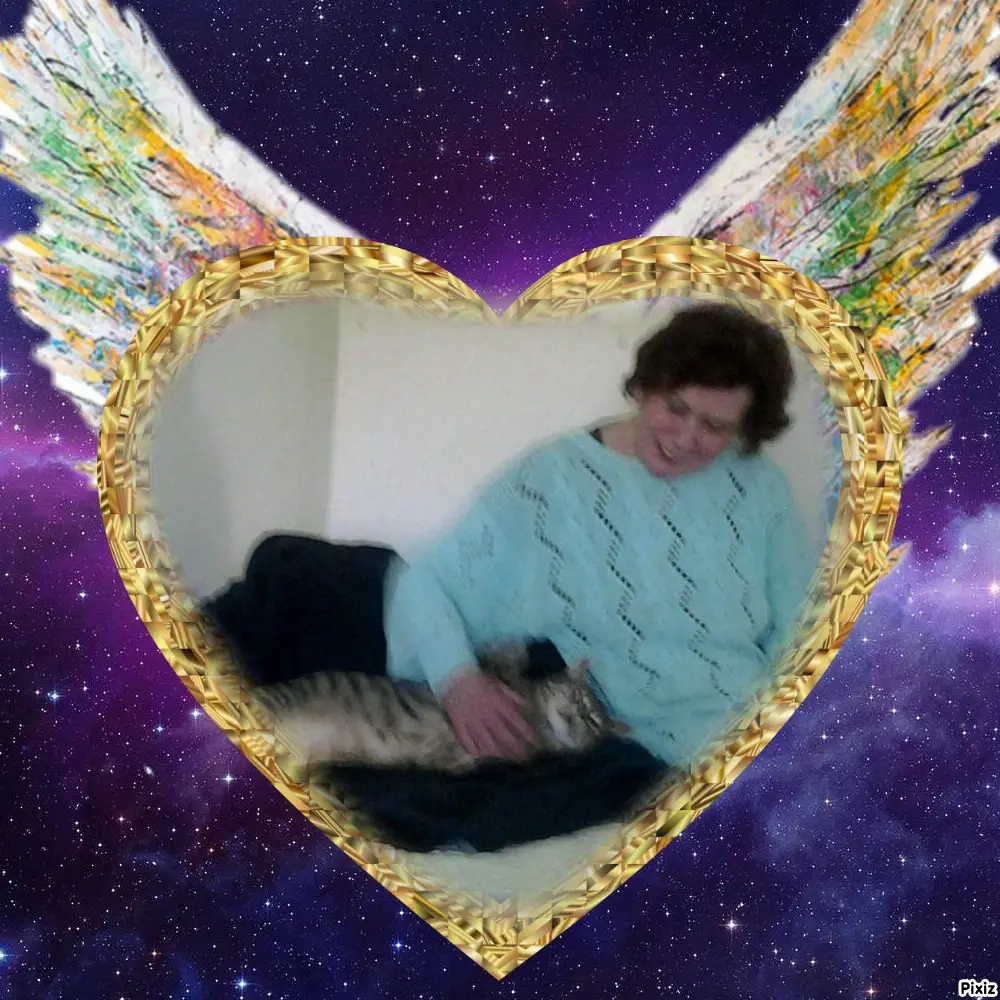 Condolence image of Deine Freundin Tanja ❤