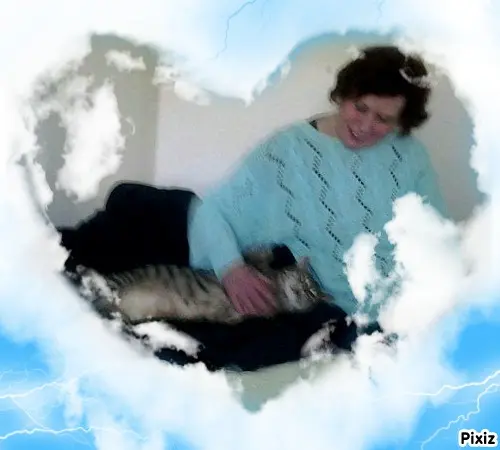 Condolence image of Deine Freundin Tanja ❤
