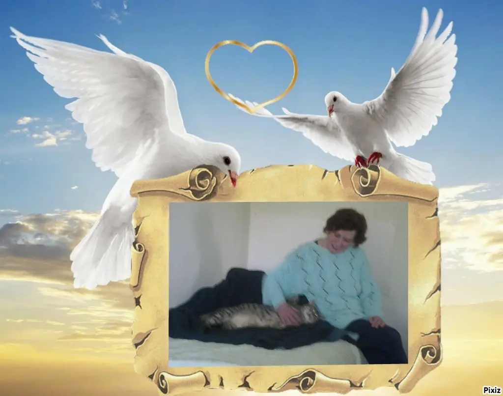 Condolence image of Deine Freundin Tanja ❤