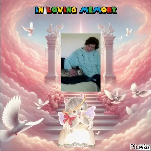 Condolence image of Deine Freundin Tanja ❤