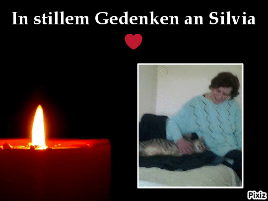 Condolence image of Für meine liebe Freundin Silvia zum 3. Todestag ❤