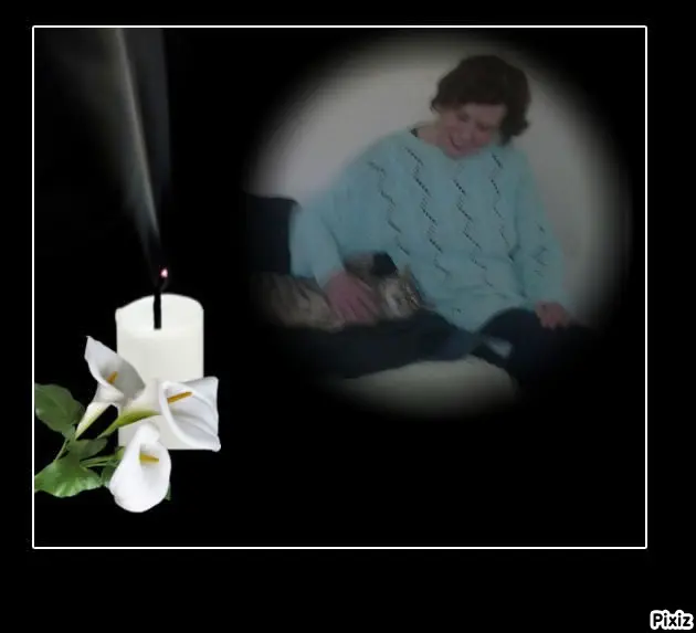 Condolence image of Deine Freundin Tanja ❤