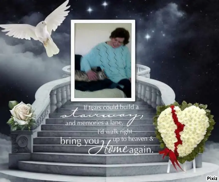 Condolence image of Deine Freundin Tanja ❤