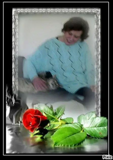 Condolence image of Deine Freundin Tanja 💘