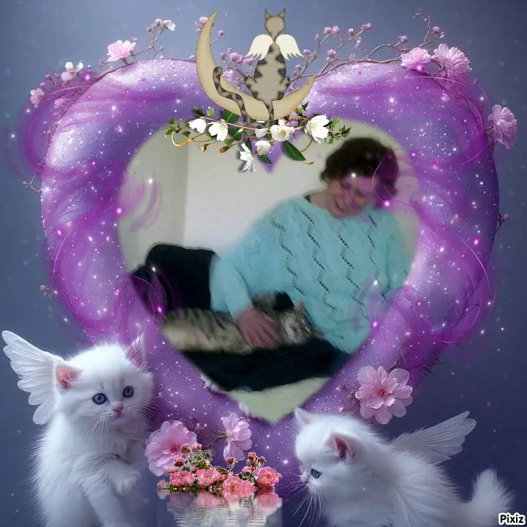 Condolence image of Deine Freundin Tanja 💖⭐