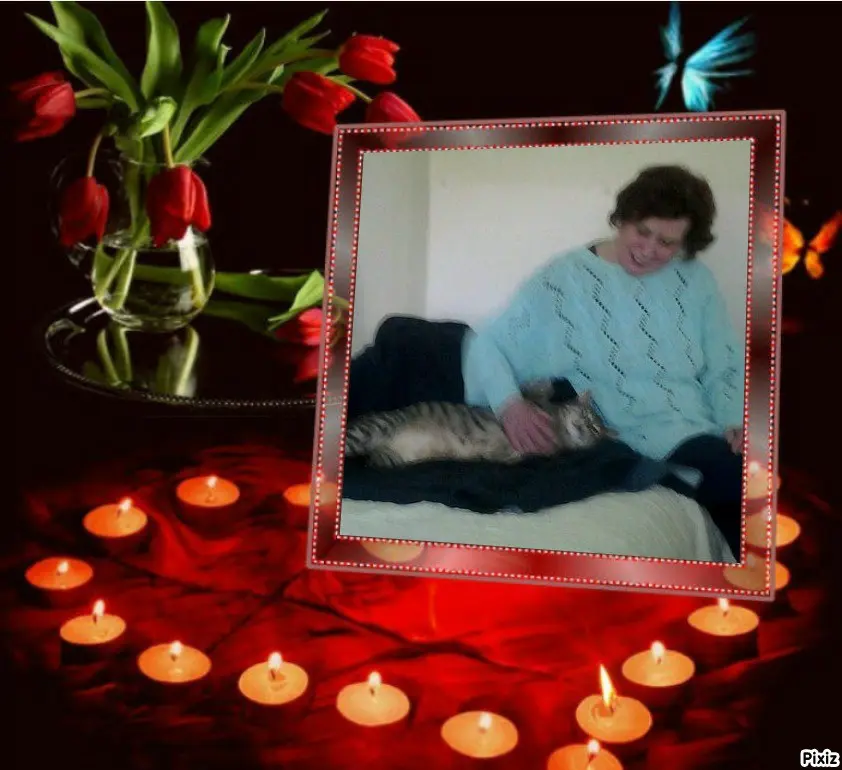 Condolence image of Deine Freundin Tanja 💖⭐