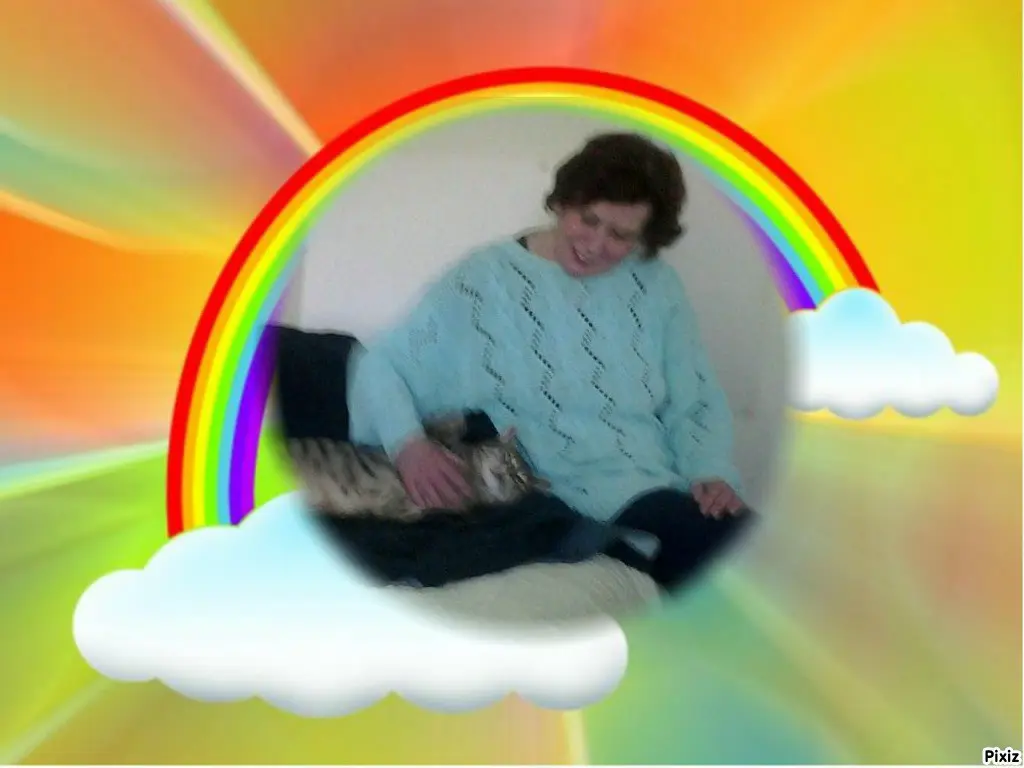 Condolence image of Deine Freundin Tanja 💖⭐