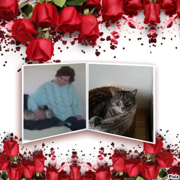 Image from Katzenmutti Silvia
