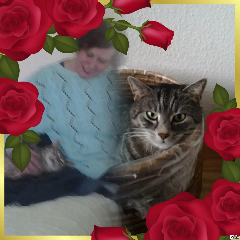 Image from Katzenmutti Silvia