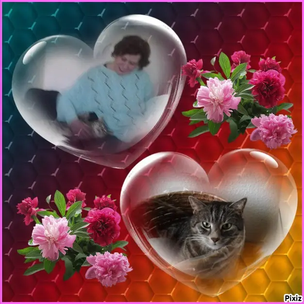 Image from Katzenmutti Silvia