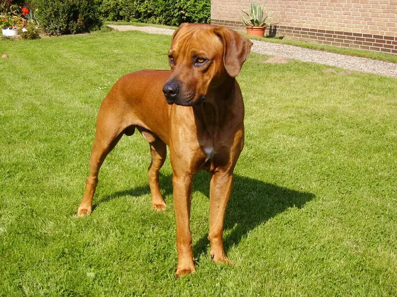 Condolence image of Britta