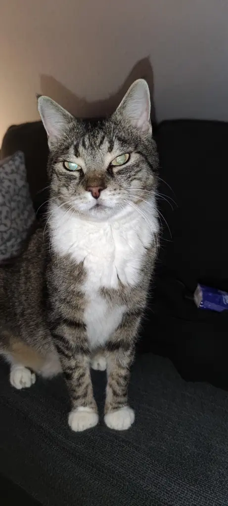 Condolence image of Tanja