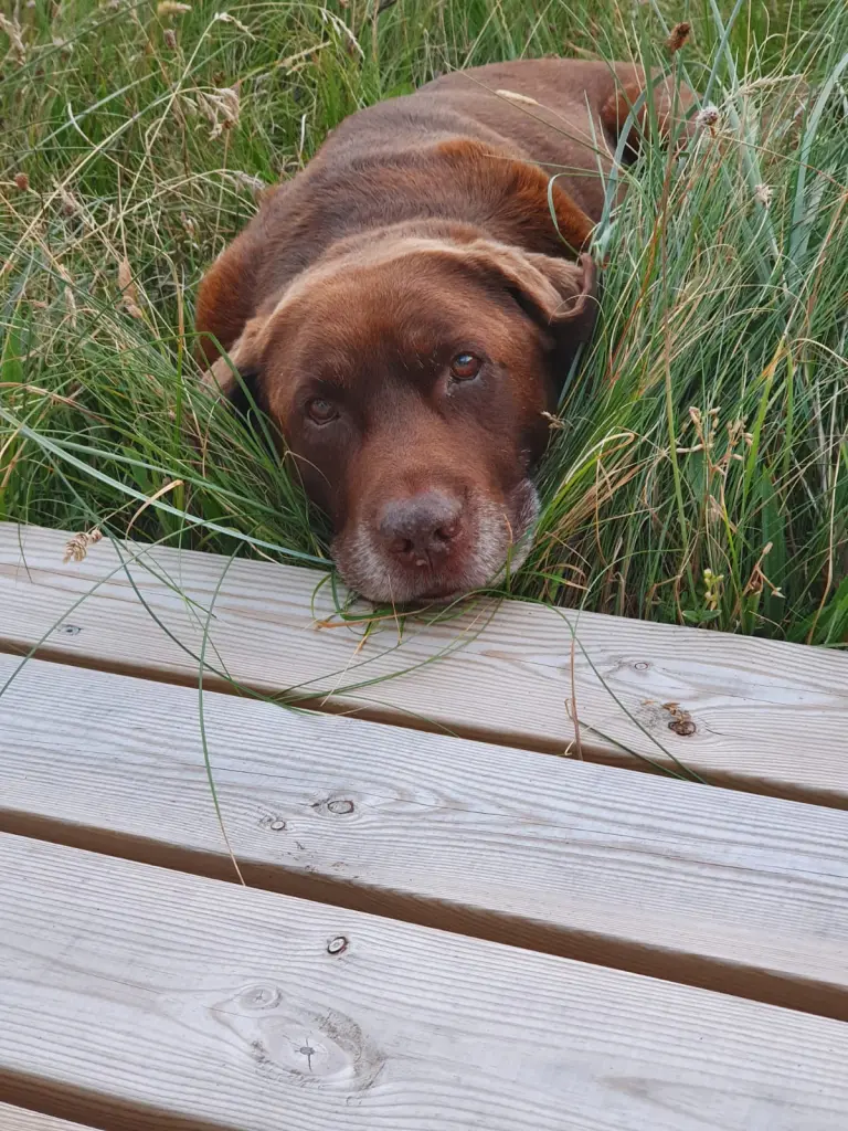 Image from Fynn