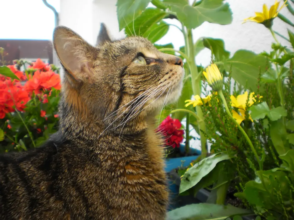 Condolence image of Helga