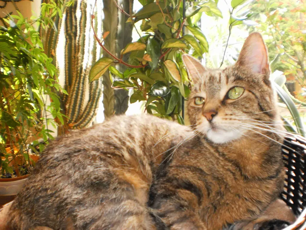 Condolence image of Helga