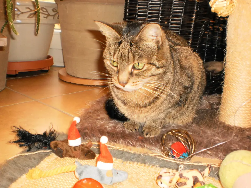 Condolence image of Helga