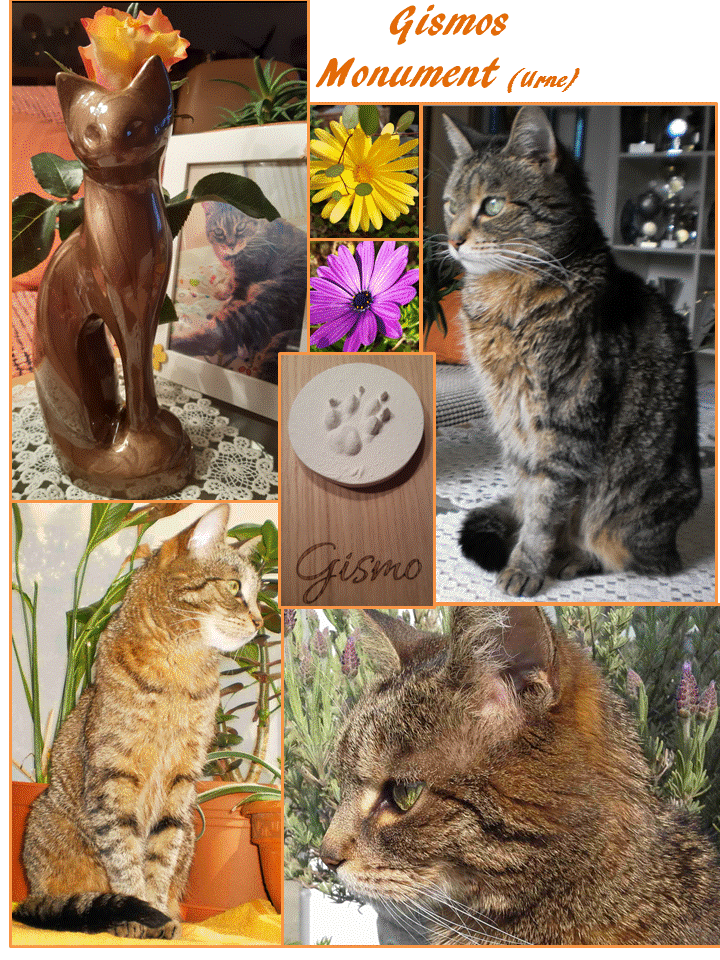 Image from Gismo