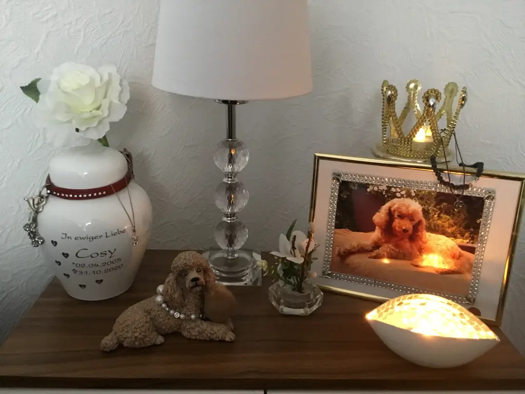 Image from Cosy
