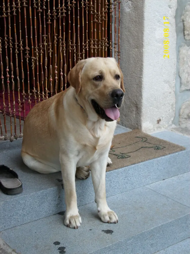 Condolence image of Kerstin