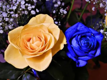 Condolence image of Unbekannt
