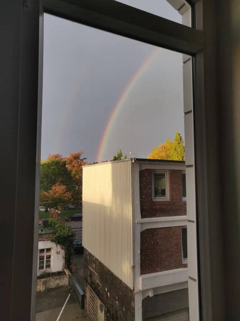 Image from Yoko