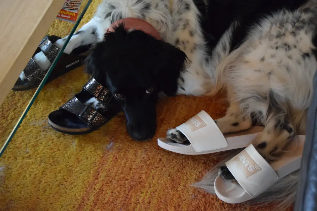 Image from Athos