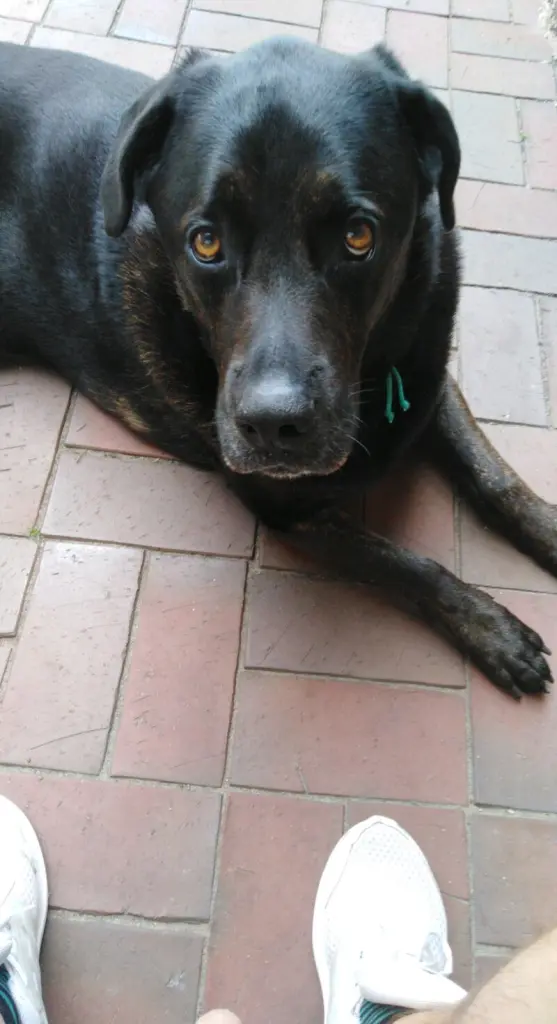 Condolence image of Tim