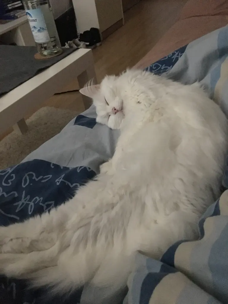 Condolence image of Marvin