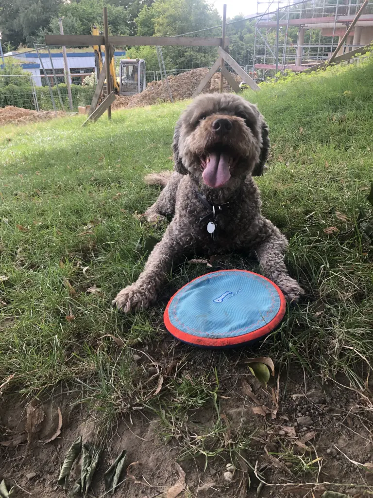 Image from Filou