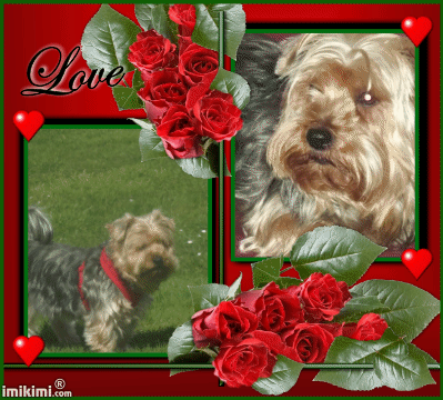 Condolence image of Evelin
