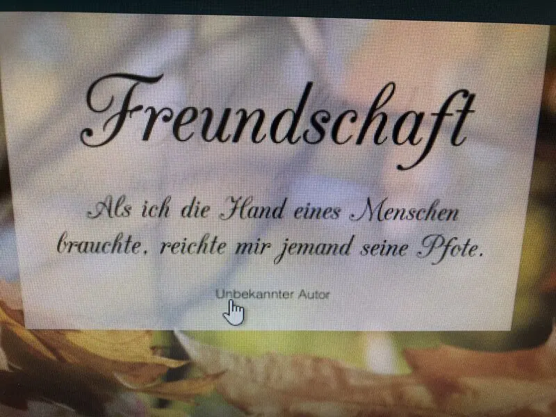 Condolence image of Susanne mit Ole im Herzen ????