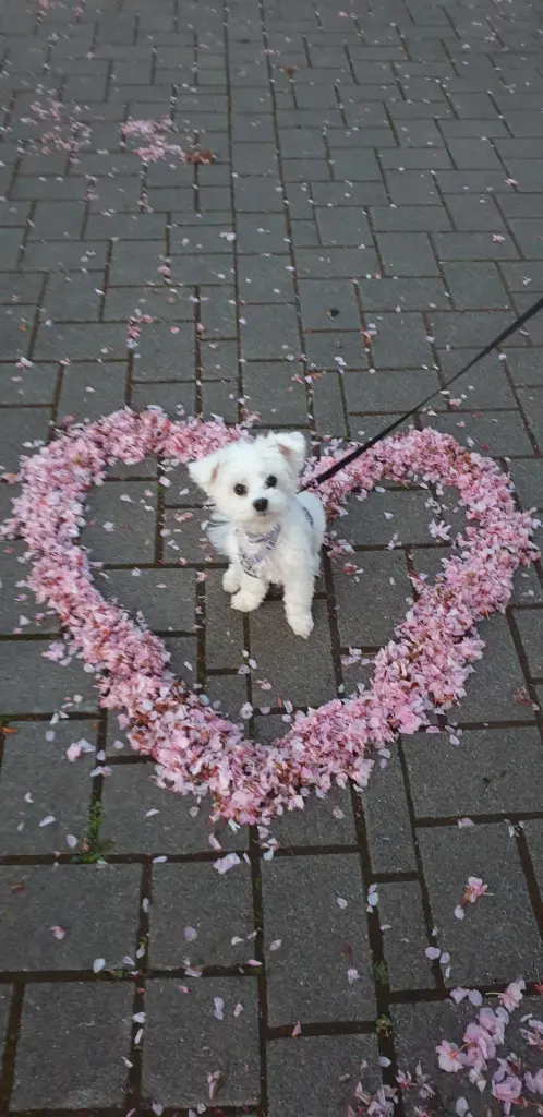 Image from Molly 