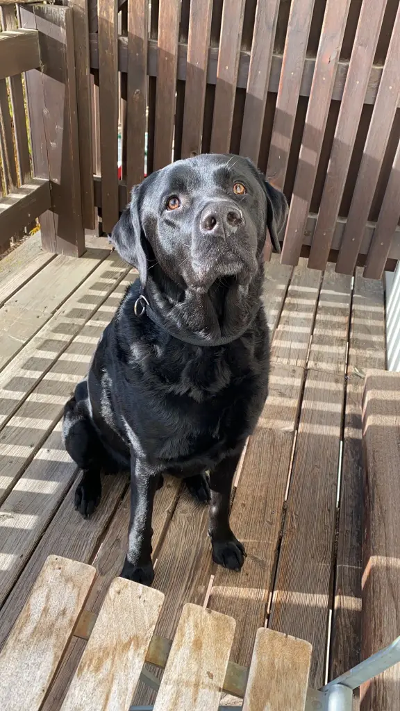 Andachtsbild von ❤️❤️❤️❤️