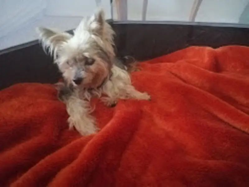 Condolence image of Gina
