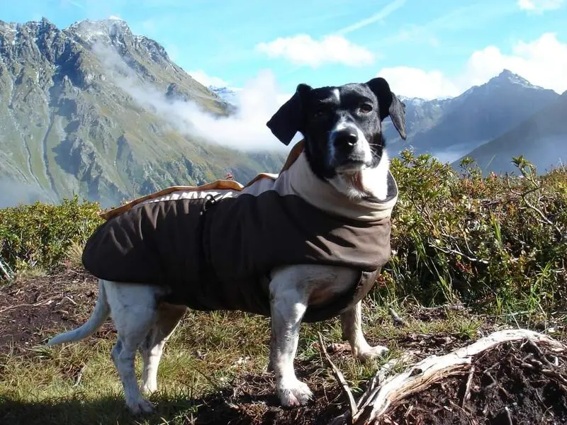 Condolence image of Norbert