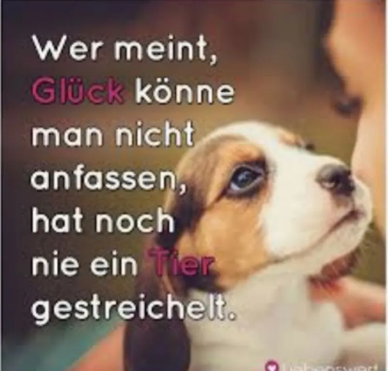 Condolence image of Rena herzlichen Dank und ihnen viel Kraft und alles gute