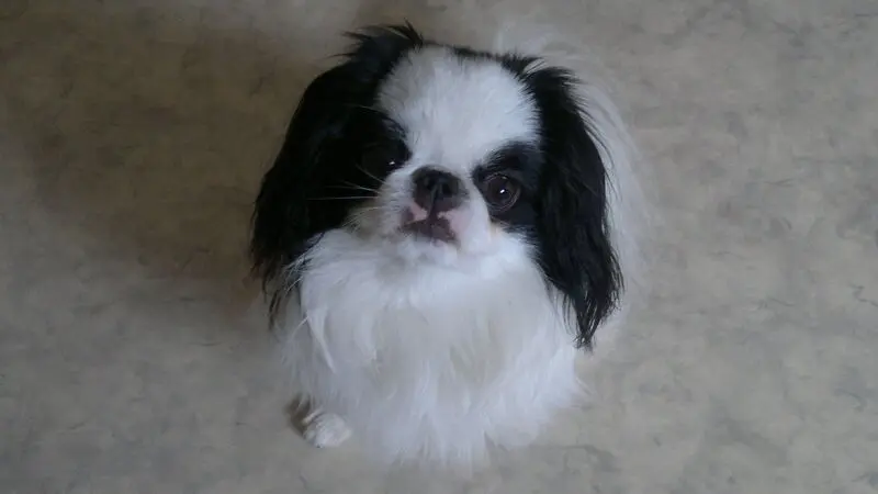 Condolence image of Tina