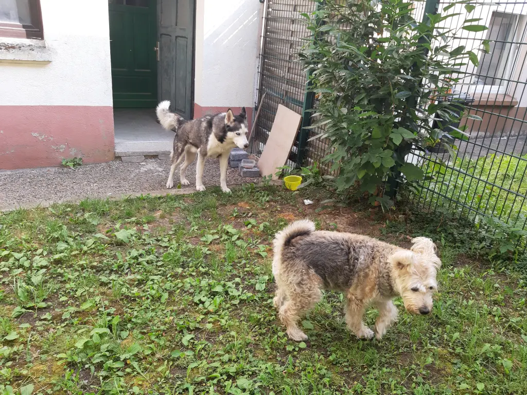 Image from Junior
