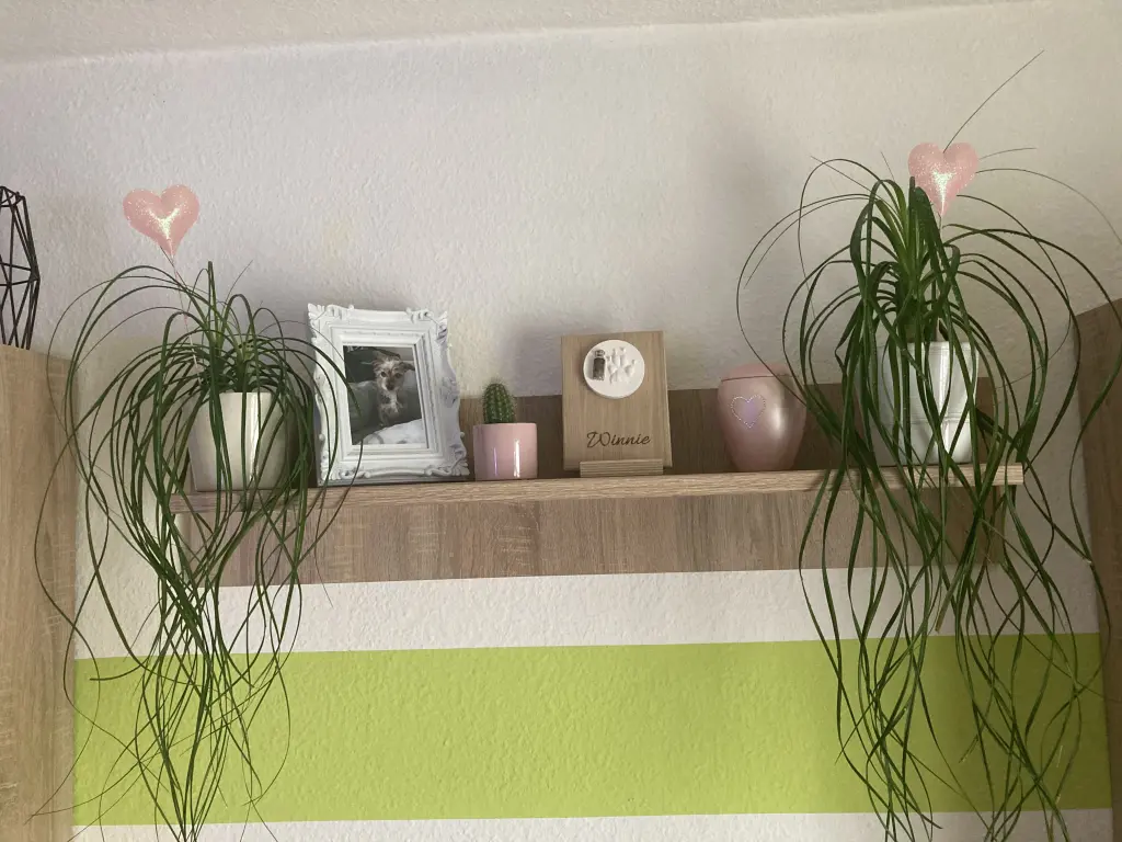 Image from Winnie