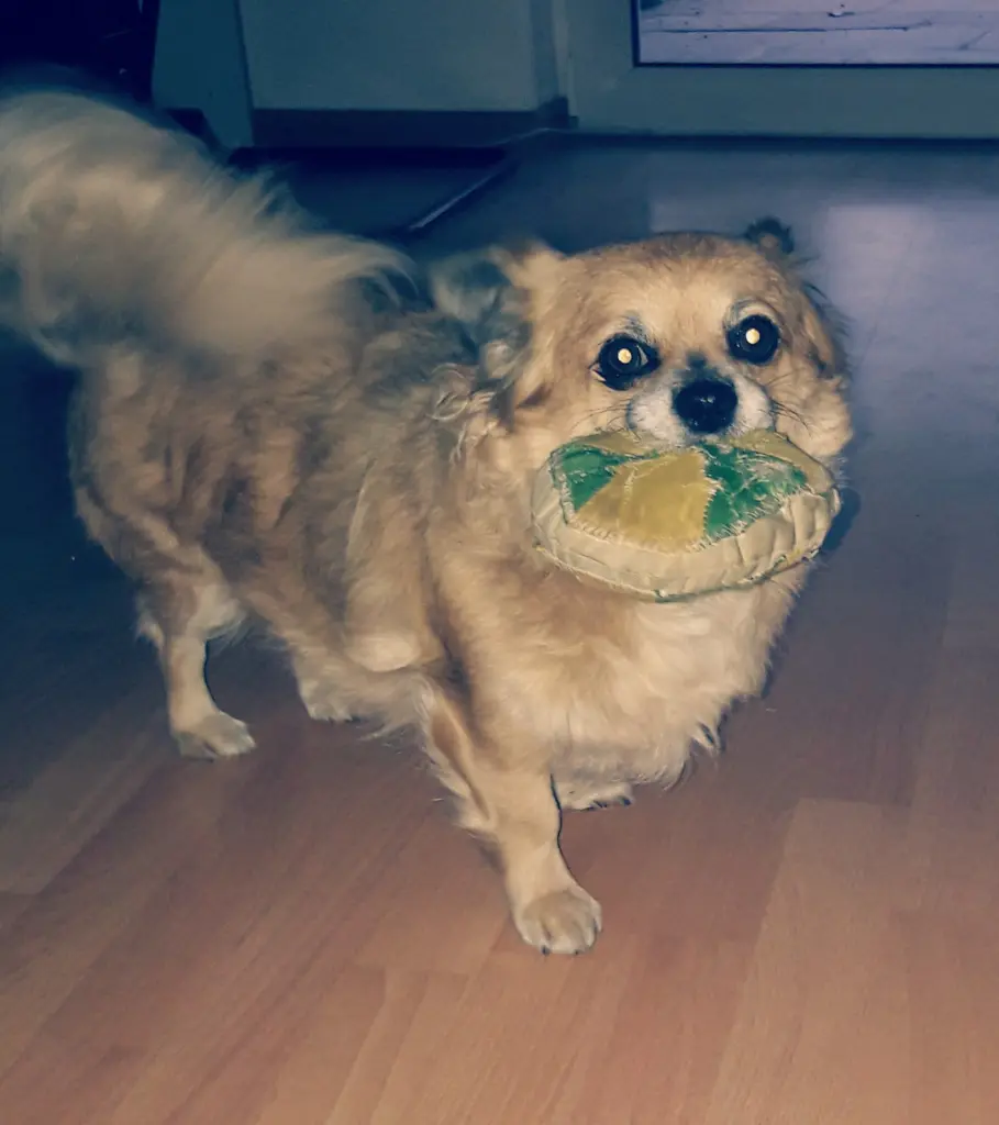 Image from Oskar