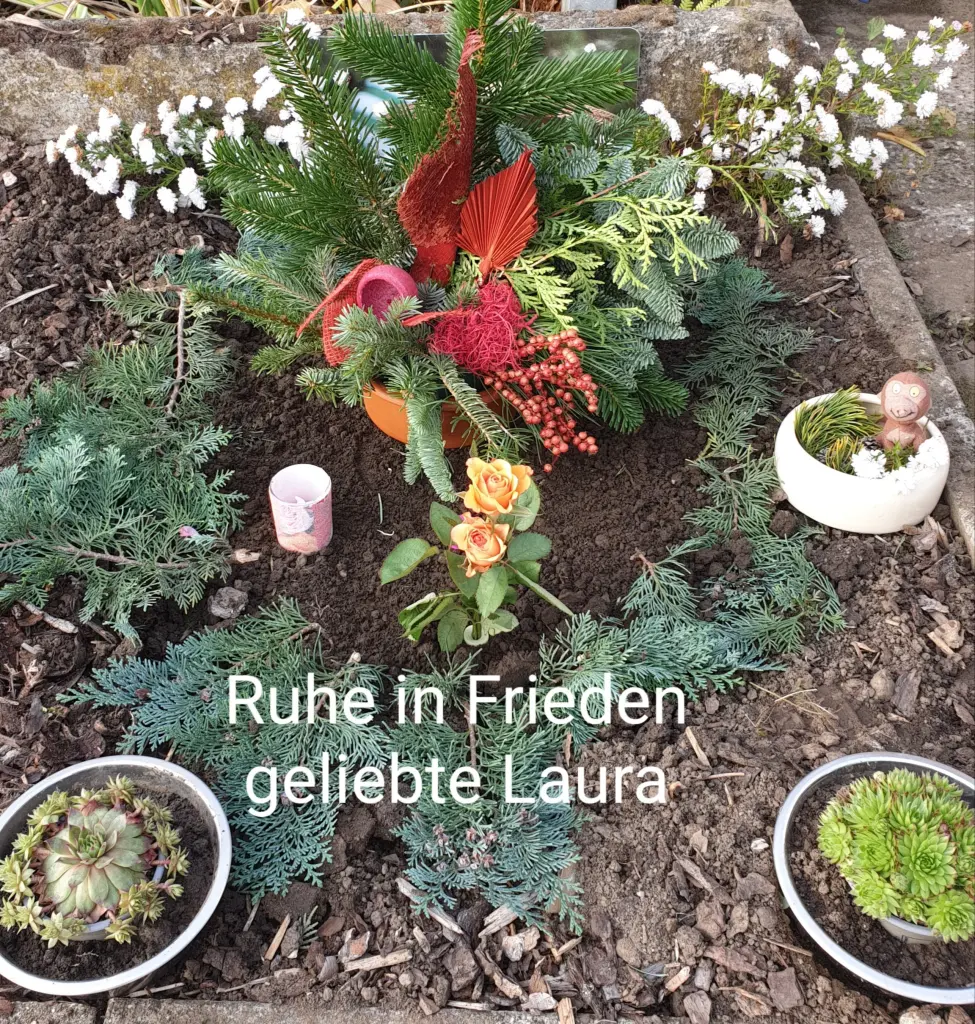 Image from Laura