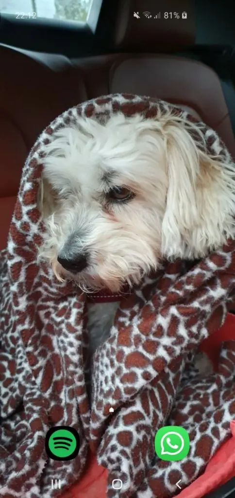 Condolence image of Birgit