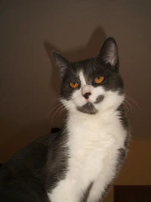 Condolence image of Martina