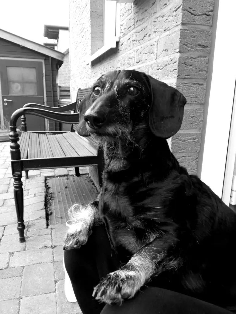 Image from Captain