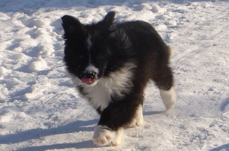 Image from Rusty