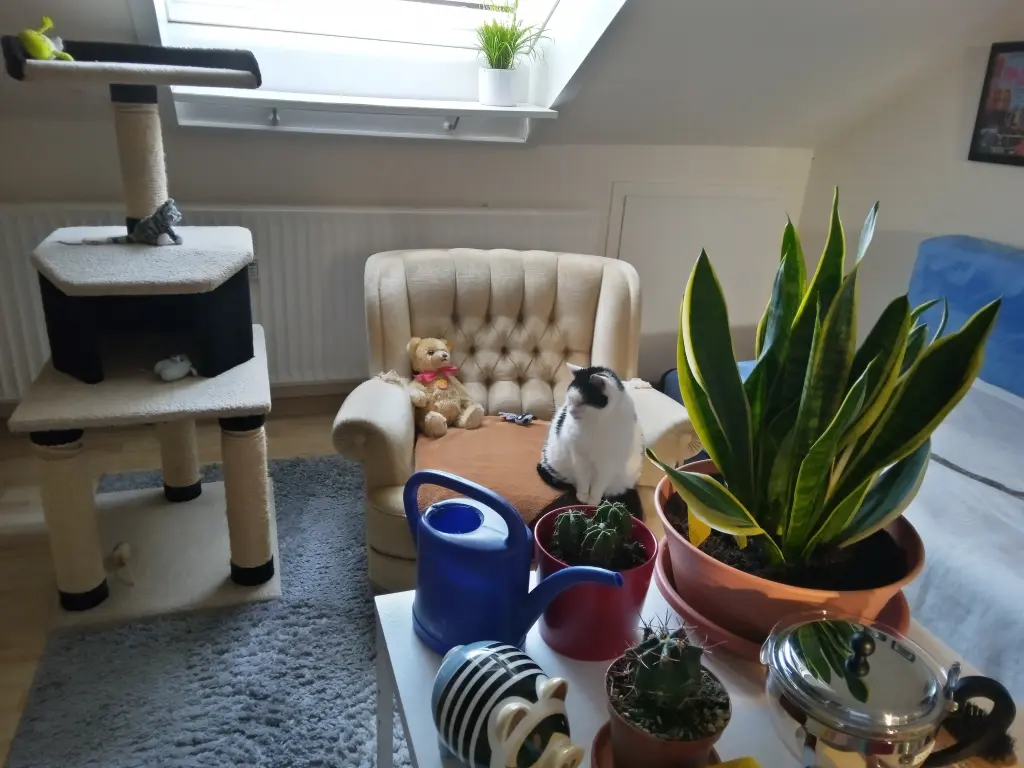 Image from Waska