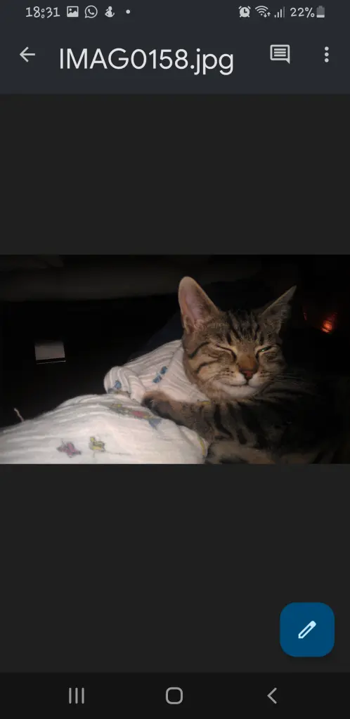 Image from Gismo