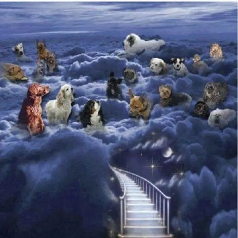 Condolence image of Maureen
