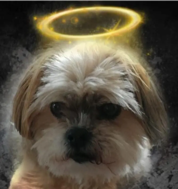 Condolence image of Sabine und Uwe