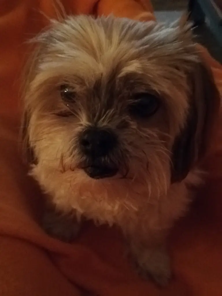 Condolence image of Christin